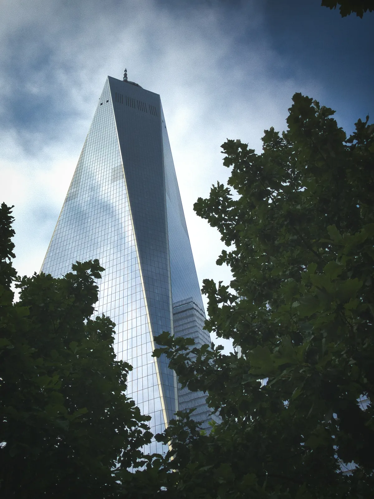One World Trade Center framed by leaves