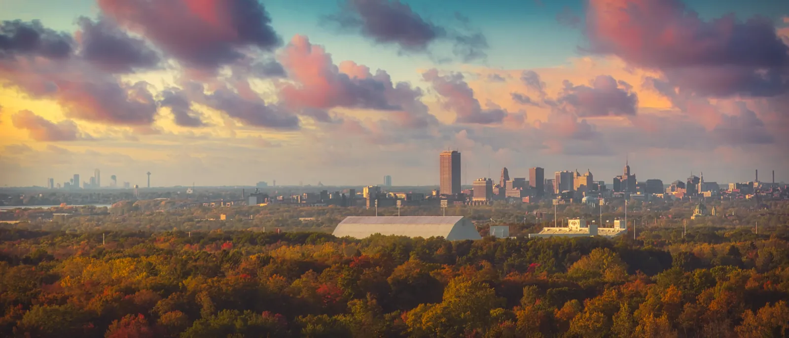 A distant city skyline beyond autumn trees