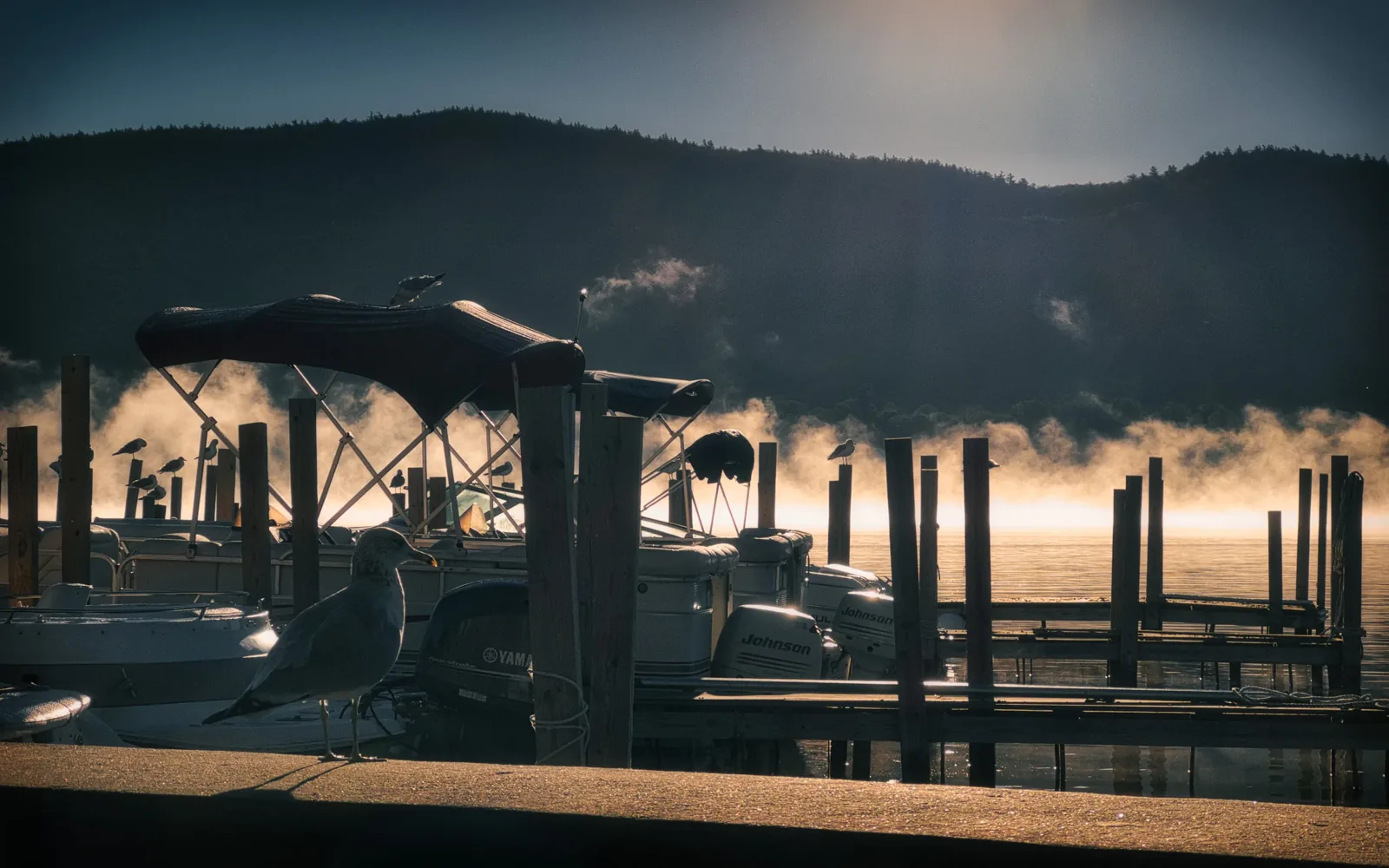 Boats at a misty dock below the mountains