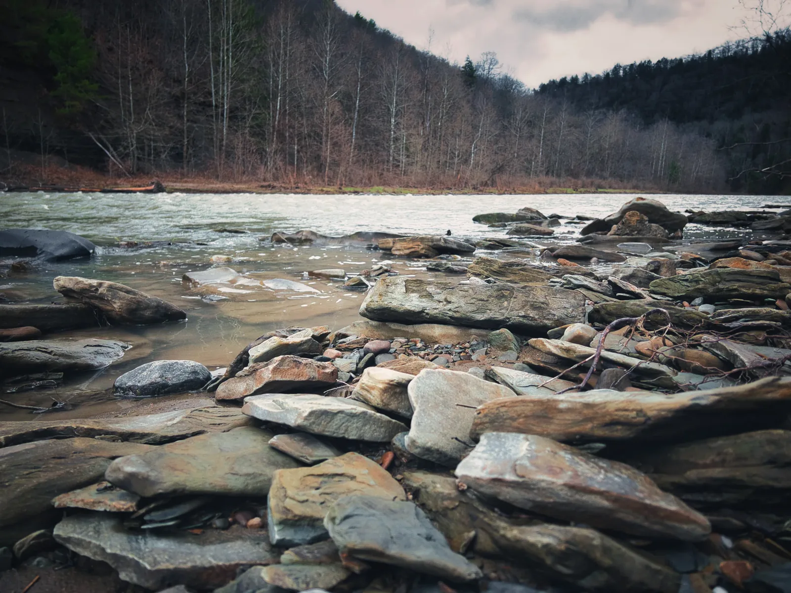 A rocky river running through autumn woods