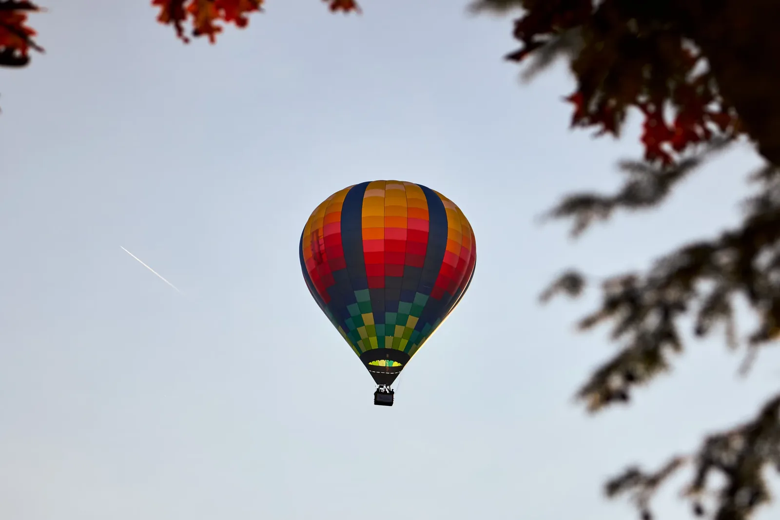 A colorful hot-air balloon drifting in a pale autumn sky, framed by turning leaves